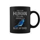 Blauhäher Menschliches Kostüm Tassen, Stellers Jay Tierisches Design