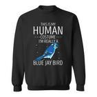 Blauhäher Menschliches Kostüm Sweatshirt, Stellers Jay Tierisches Design