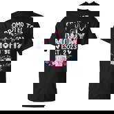 Promoted To Mommy Est 2023 Pregnancy Announcement T-shirt