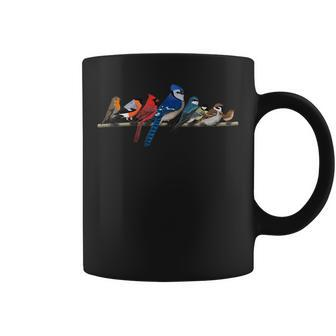 Garden Birds Blue Jay Bullfinch Ornithologist Biologist Coffee Mug | Mazezy UK