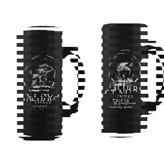 Gatlinburg Tennessee Great Smoky Mountains V2 Coffee Mug - Thegiftio