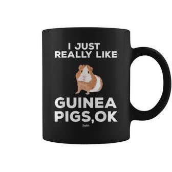 I Just Really Like Guinea Pigs Ok Funny Guinea Mom Themed Coffee Mug - Seseable
