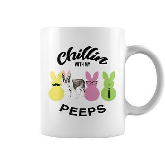 Happy 2021 Easter Bunny Cute Boston Terrier Chilling With My Peeps Gift For Dog Lovers Coffee Mug - Thegiftio UK