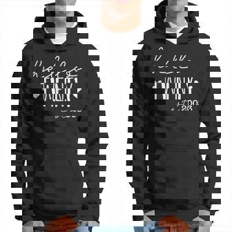 20Th Birthday Hello Twenty Year Old Est 2003 Born In 2003 Hoodie | Mazezy