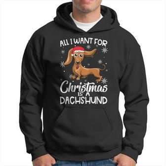 All I Want For Christmas Is A Dachshund Dog Lover Gifts Xmas Men Hoodie Graphic Print Hooded Sweatshirt - Seseable