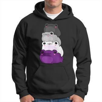Asexual Flag Color Frog Subtle Queer Pride Lgbtq Aesthetic Hoodie | Mazezy AU