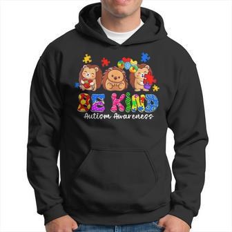 Be Kind Hedgehog Puzzle Pieces Funny Autism Awareness Gifts  Hoodie