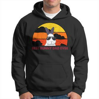 Best Bunny Dad Ever Rabbit Daddy Father Rabbit Dad Gift For Mens Hoodie | Mazezy