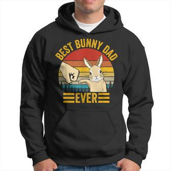 Best Bunny Dad Ever Vintage Rabbit Lover Father Pet Rabbit Hoodie - Seseable