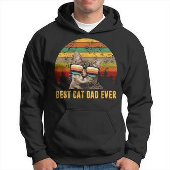 Best Cat Dad Ever Fathers Day Gifts I Love Cat Lover Hoodie - Seseable