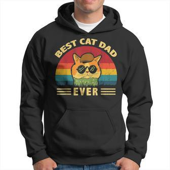 Best Cat Dad Ever Funny Cat Dad Fathers Day Vintage Gift Hoodie - Seseable