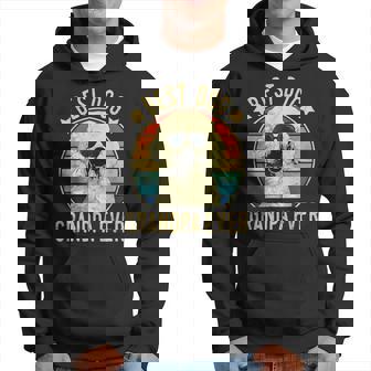 Best Dog Grandpa Ever Poodle Fathers Day Gift For Mens Hoodie | Mazezy
