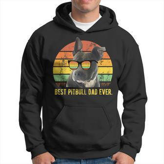 Best Pitbull Dad Ever Cute Funny Retro Sunset Daddy Gift Hoodie | Mazezy CA