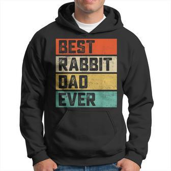 Best Rabbit Dad Ever Funny Rabbits Men Father Vintage Hoodie - Seseable