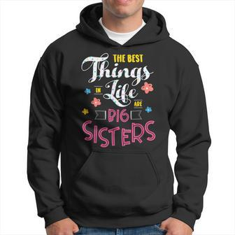 Big Sister For The Best Things In Life Are Big Sisters Hoodie - Seseable