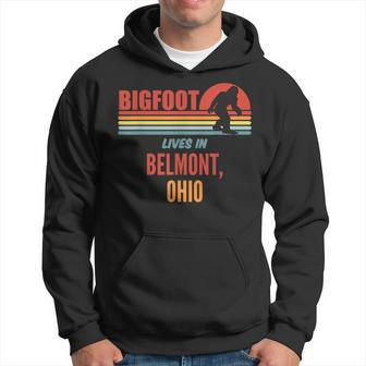 Bigfoot-Sichtung In Belmont Ohio Hoodie - Seseable