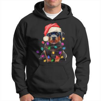 Black Lab Labrador Christmas Tree Light Pajama Dog Xmas Men Hoodie Graphic Print Hooded Sweatshirt - Seseable