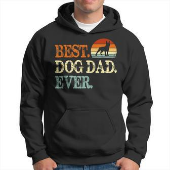 Boston Terrier Best Dog Dad Ever Retro Vintage Hoodie | Mazezy AU