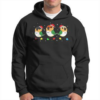 Caique Bird Parrot Christmas Lights Funny Pet Xmas Gift Men Hoodie Graphic Print Hooded Sweatshirt - Seseable