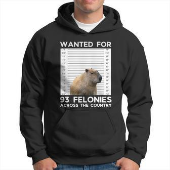 Capybara Mugshot Wanted For 93 Felonies Across The Country Hoodie - Monsterry
