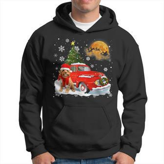 Cavoodle Dog Riding Red Truck Christmas Decorations Men Hoodie Graphic Print Hooded Sweatshirt - Seseable