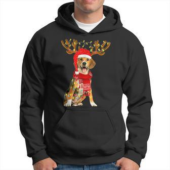 Christmas Lights Beagle Dog Lover Dog Dad Dog Mom Hoodie | Mazezy UK