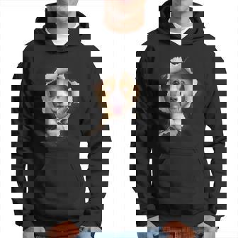 Corgi Cute Corgi Corgi Lover Hoodie | Mazezy