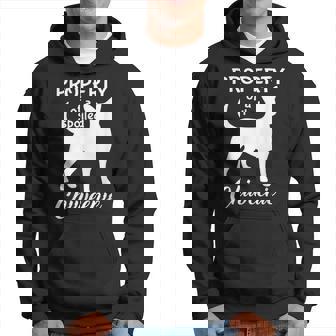 Funny Chiweenie Mom Dad Cute And Funny Property Dog Owner Hoodie - Thegiftio
