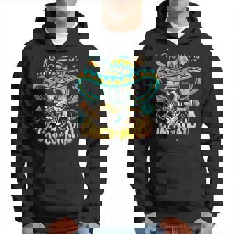 Funny Drinking Cinco De Mayo Lets Fiesta Hoodie | Mazezy