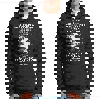 Funny Possum Emotional Support Animal Funny Opossums Memes Hoodie | Mazezy