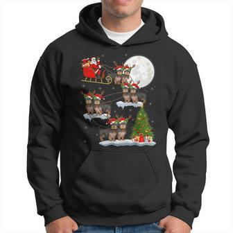 Funny Xmas Lighting Tree Santa Riding Yorkie Christmas Men Hoodie Graphic Print Hooded Sweatshirt - Seseable