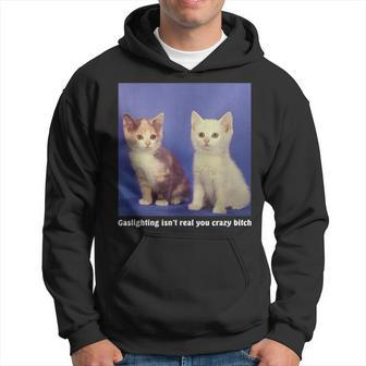 Gaslighting Isnt Real You Crazy BITCH Funny Cat Lover Hoodie | Mazezy