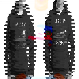 Haiti Is In My Dna Haitian Flag Day Pride Haiti Men Hoodie - Thegiftio