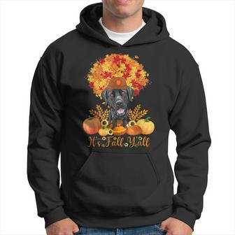 Halloween Thanksgiving Its Fall Yall Labrador Black Lab Men Hoodie Graphic Print Hooded Sweatshirt - Thegiftio UK