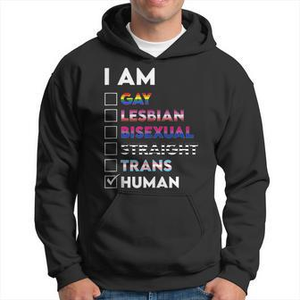 I Am Gay Lesbian Bisexual Straight Trans Human Hoodie | Mazezy