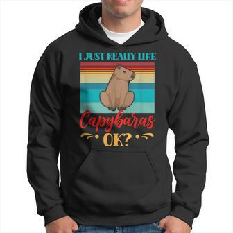 I Just Really Like Capybaras Ok Capybara Rodent Animal  Hoodie