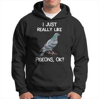 I Just Really Like Pigeons Ok Owner Lover Gift Pigeon Hoodie | Mazezy