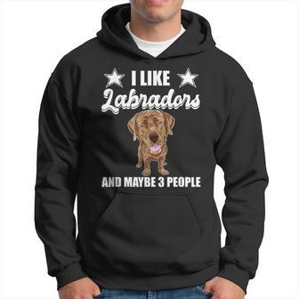 I Like Labradors Maybe 3 People Chocolate Lab Gift Labrador Hoodie - Seseable