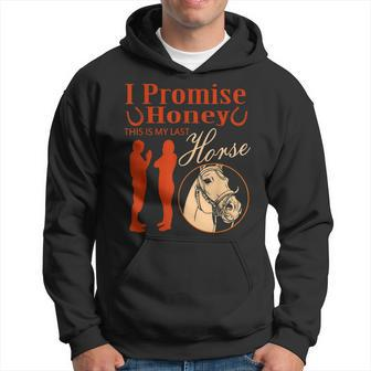 I Promise Honey This Is My Last Horse Lover Men Hoodie Graphic Print Hooded Sweatshirt - Seseable