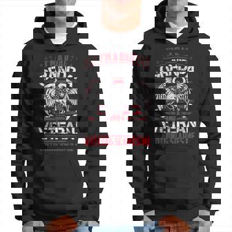 Im A Dad Grandpa And A Veteran Nothing Scares Me Hoodie | Mazezy