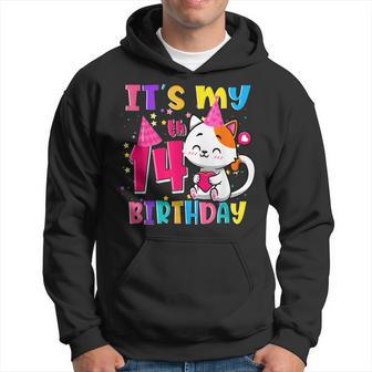 Its My 14Th Birthday Nager 14 Year Old Cat Lover Hoodie - Seseable