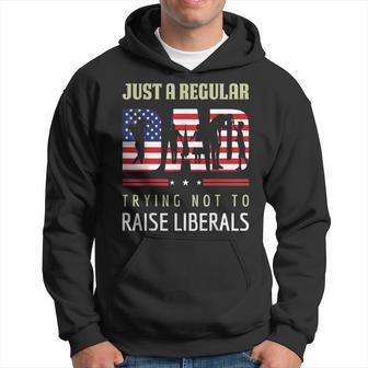 Just A Regular Dad Trying Not To Raise Liberals Fathers Day Hoodie | Seseable UK