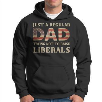 Just A Regular Dad Trying Not To Raise Liberals Fathers Day Hoodie | Seseable UK