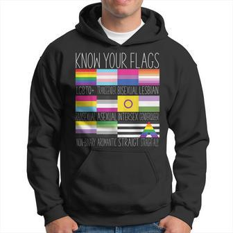 Know Your Flags - Lgbtq Gay Pride Flag Transgender Hoodie | Mazezy