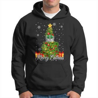 Merry Catmas Scottish Fold Cat Christmas Tree Family Xmas Men Hoodie Graphic Print Hooded Sweatshirt - Seseable