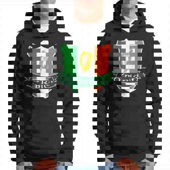 Obrien Irish Name Ireland Flag Harp Family Hoodie | Seseable CA