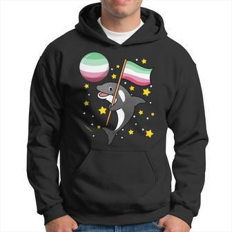 Orca In Space Abrosexual Pride Hoodie | Mazezy