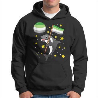 Orca In Space Aromantic Pride Hoodie | Mazezy