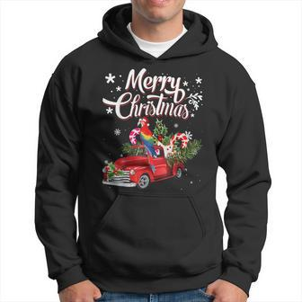 Parrot And Red Truck Christmas Parrot Santa Hat Xmas Gift Men Hoodie Graphic Print Hooded Sweatshirt - Thegiftio UK