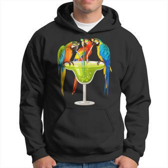 Parrots Drinking Margarita On Summer Vacation Birds Gift Hoodie | Mazezy